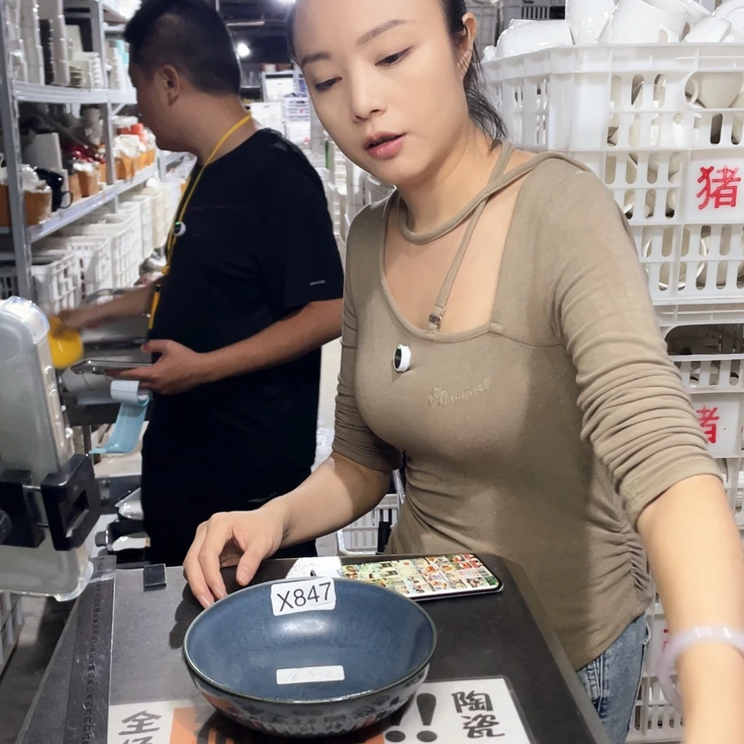 瓷片253                2个