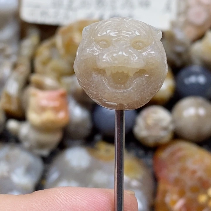 颈饰未镶嵌硅化珊瑚（珊瑚玉）