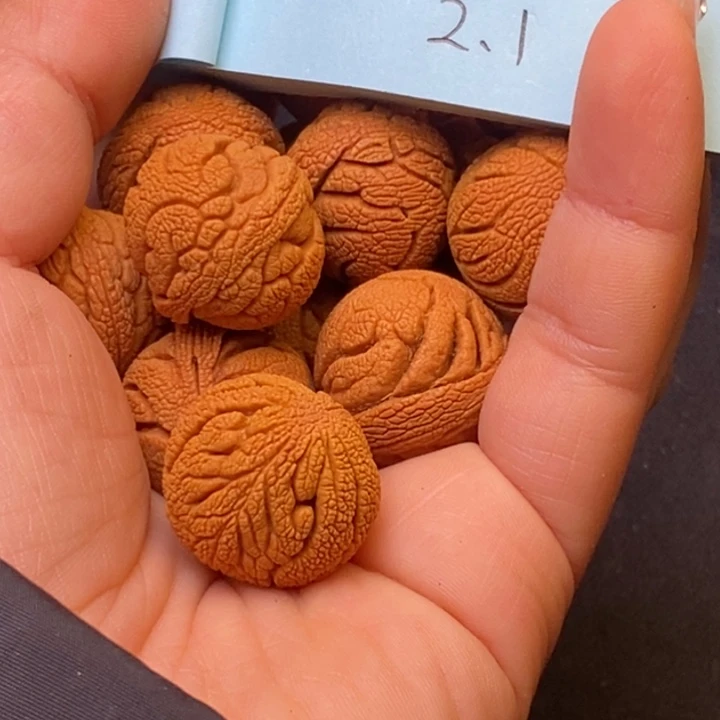 秦岭龙纹桃核13颗