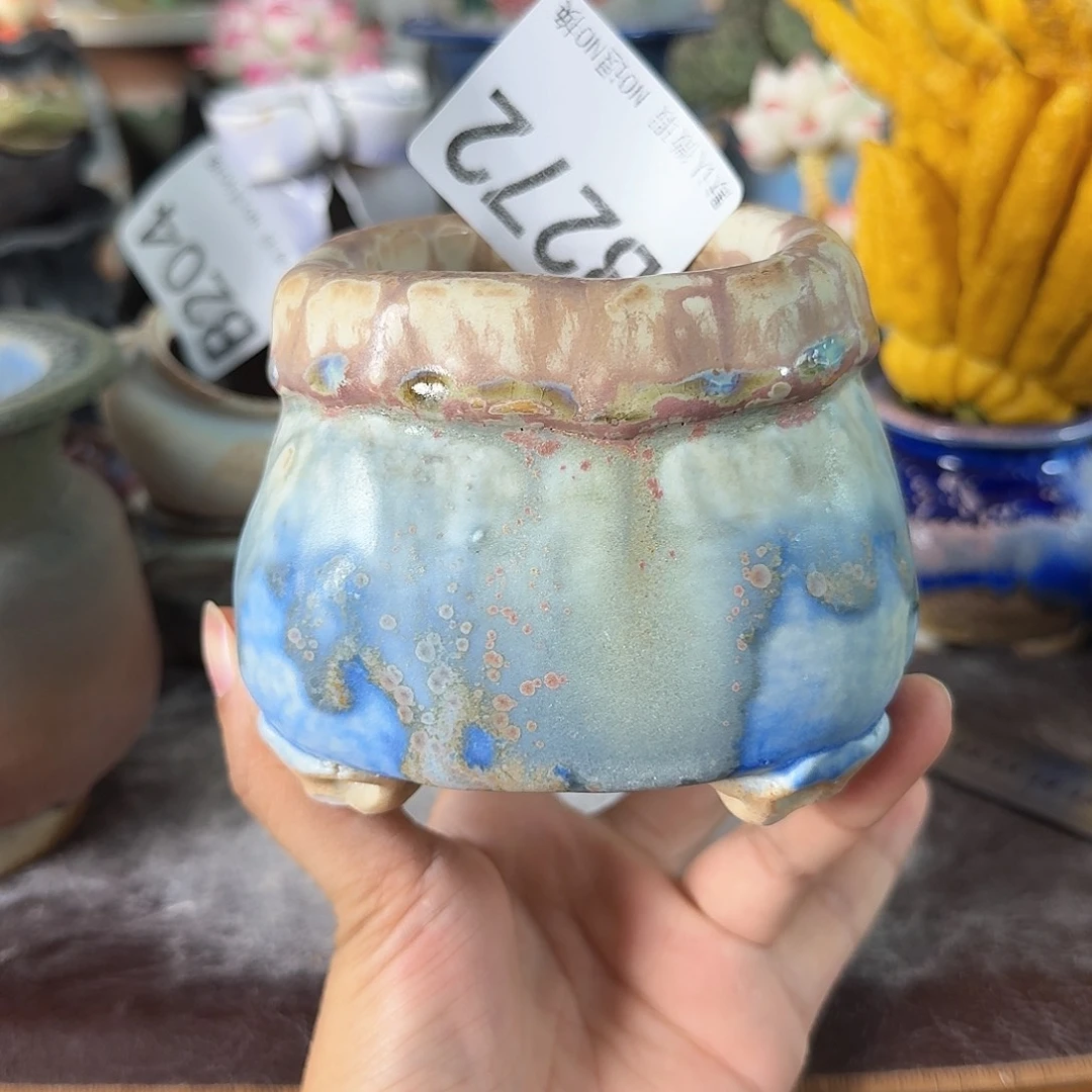 岁***好重庆小燕子欢迎大家272