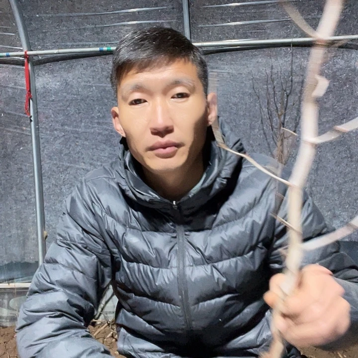 逍***z一物一拍龙盘一苗