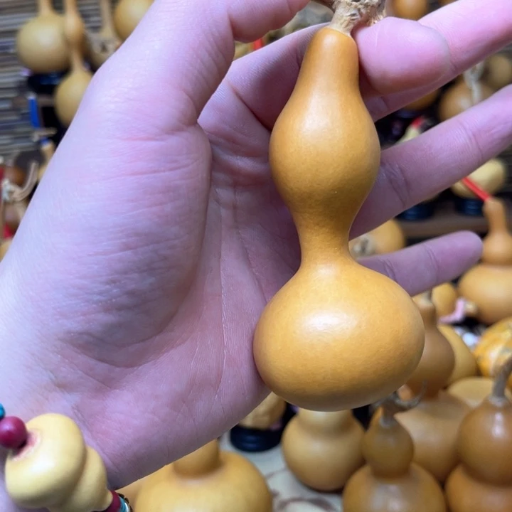 厚皮响籽亚腰八宝29