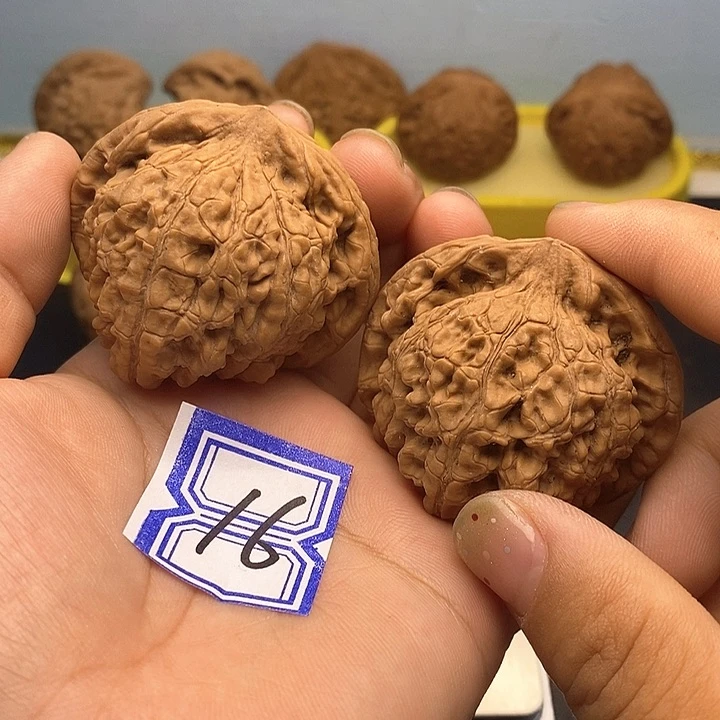 文玩核桃把件49官帽