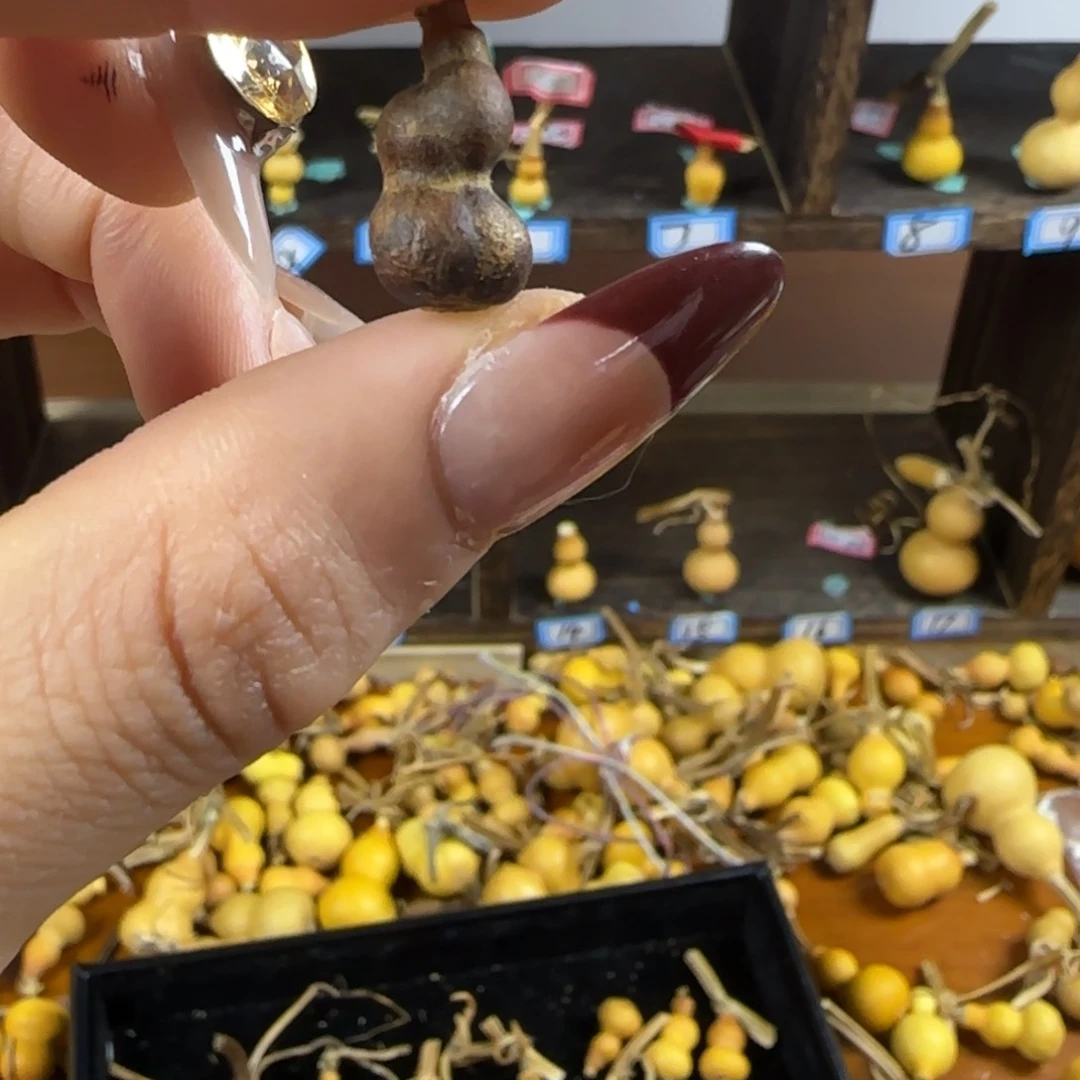 天然草里金小葫芦