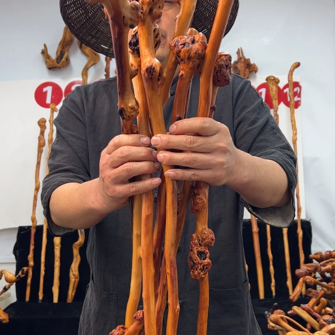 其他黑果木黑果木022