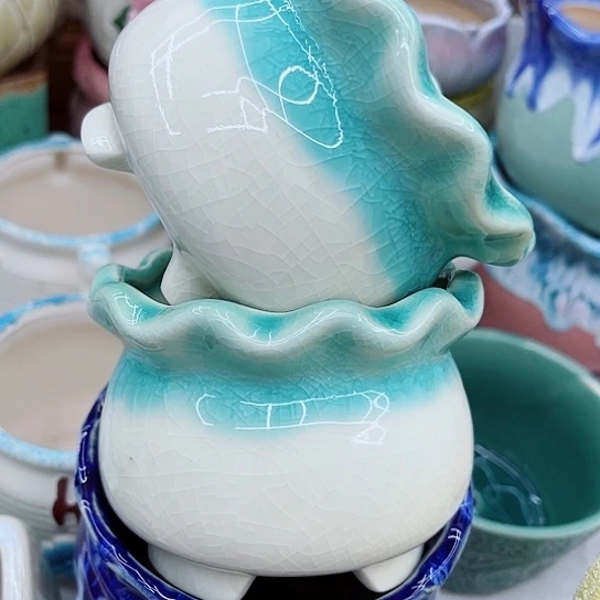 多肉绿植陶瓷花盆9.9包邮有空