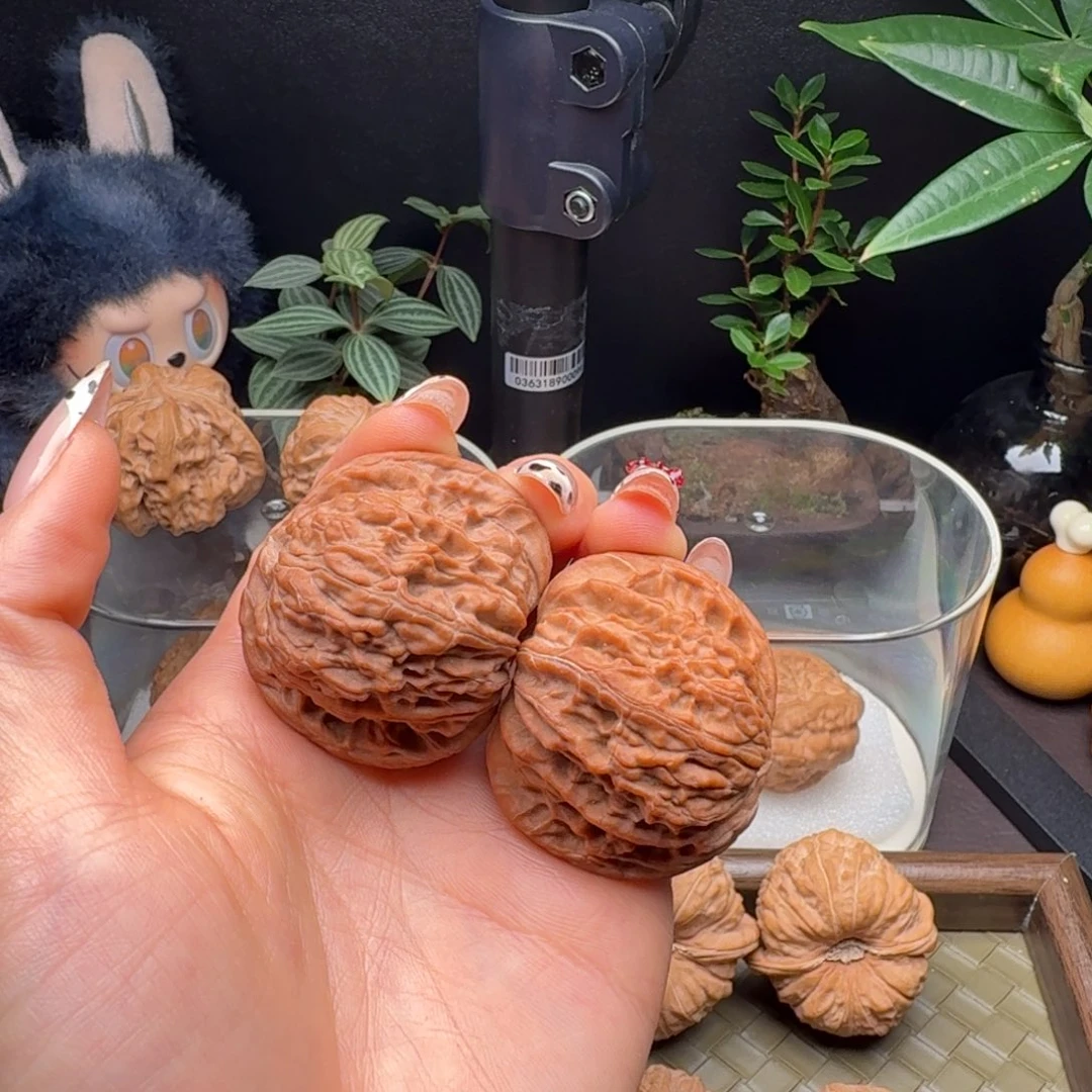 龙脊菩提把件全品血磨42