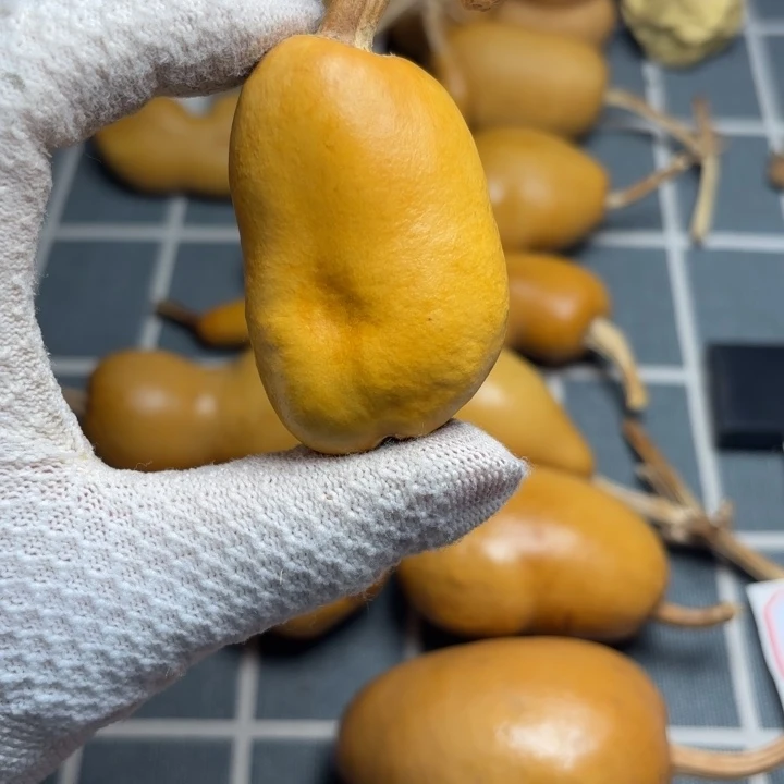 焱***酉坑6666666666666666