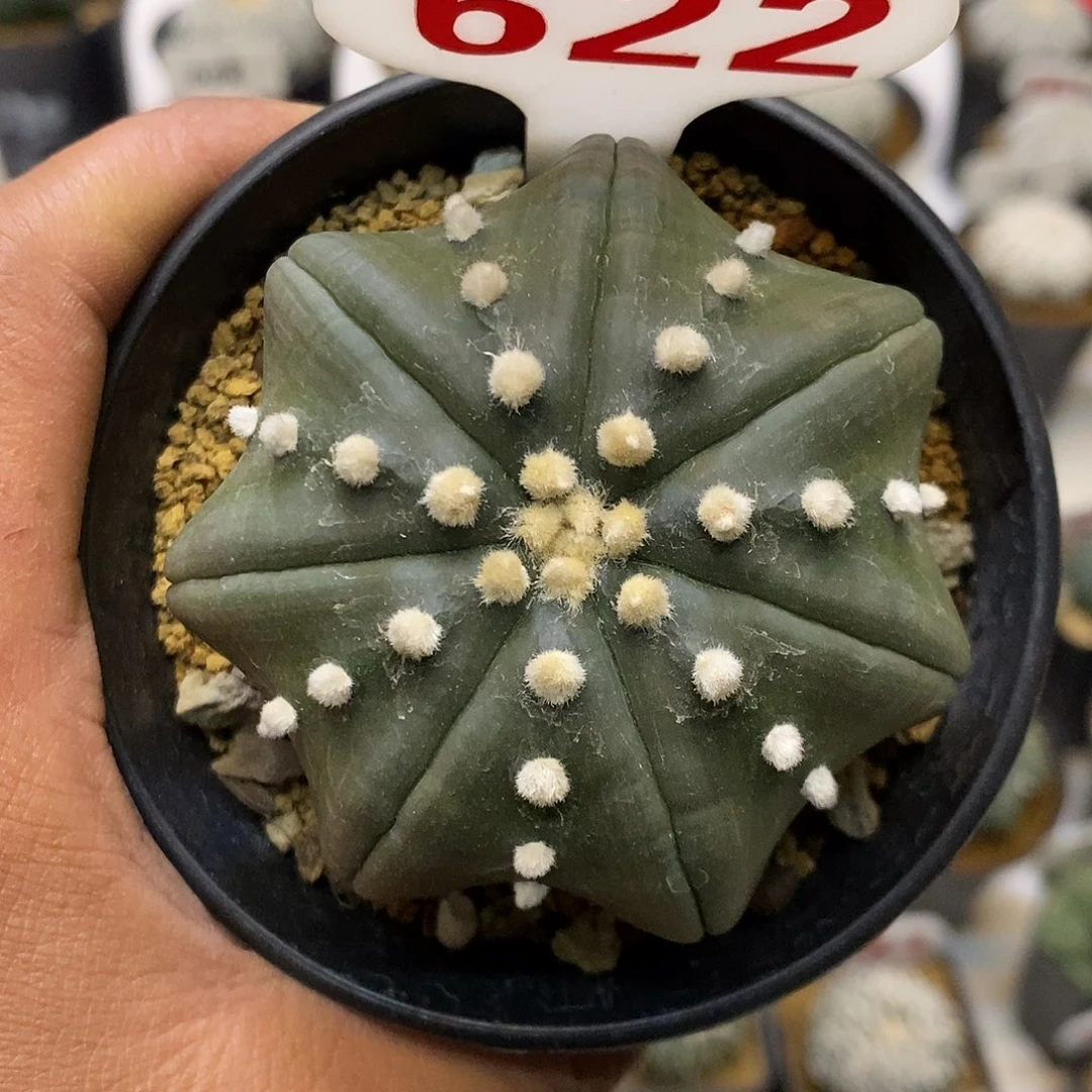 622福利特价咯啦咯特价啦