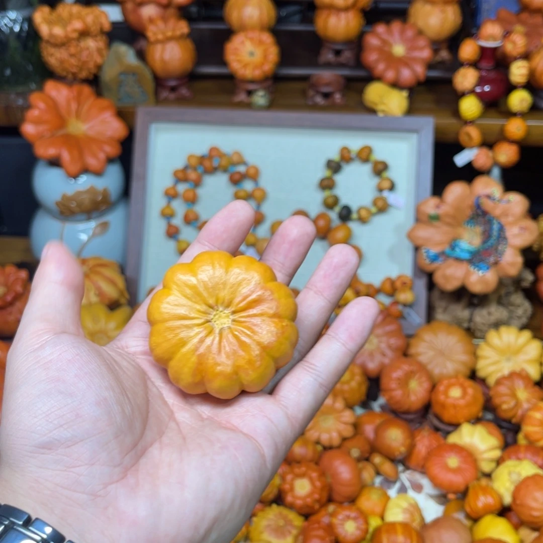 木**信哈喽哈喽厉害厉害厉害