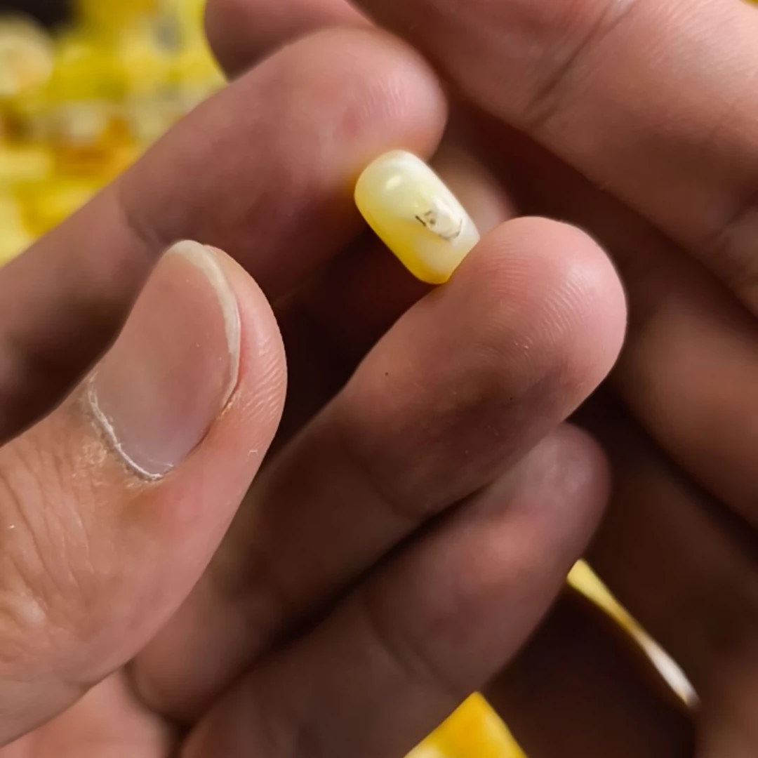 未镶嵌琥珀裸石12*6.8瑕疵珠