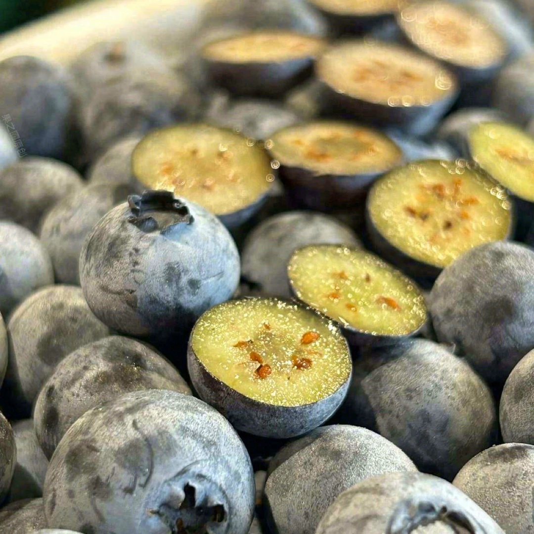 杯子蓝莓新鲜蓝莓22+花香蓝莓新鲜酸甜可口孕妇水果顺丰包邮8杯