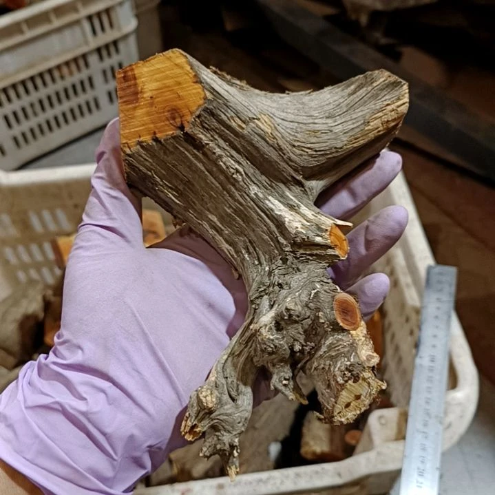 翾***爸香榧木崖柏随行毛料毛料毛料