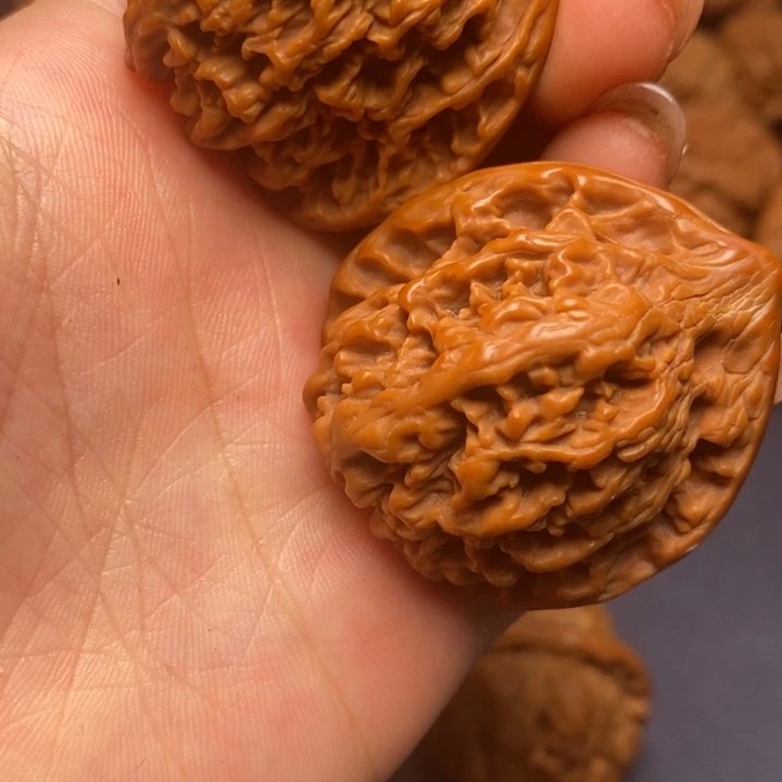 秦岭野生核桃111