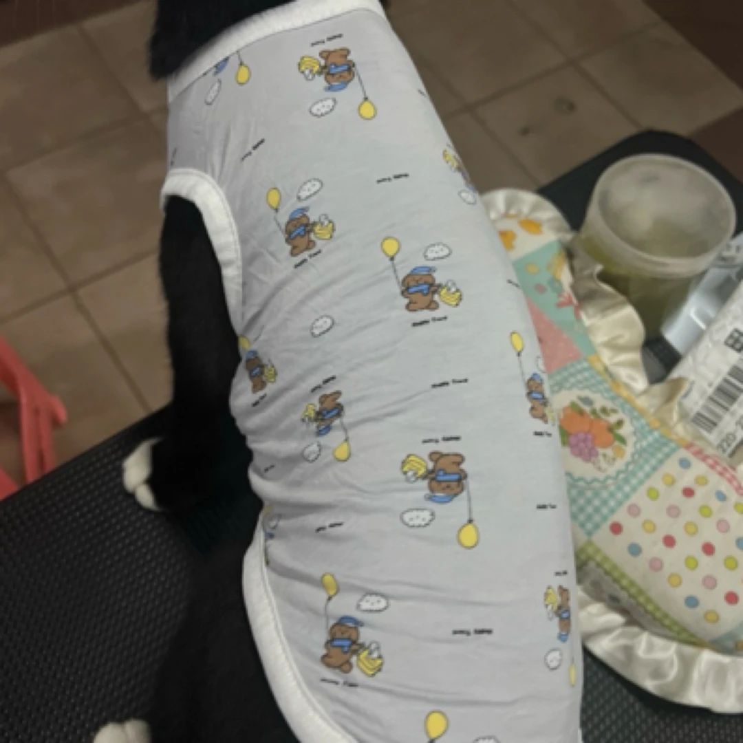 猫咪、狗狗透气防掉毛、防蚊宠物服饰适合猫、狗狗