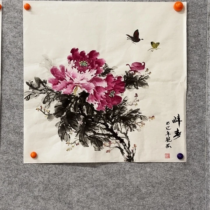 国画花鸟等多种鸟类的栖息地和栖息