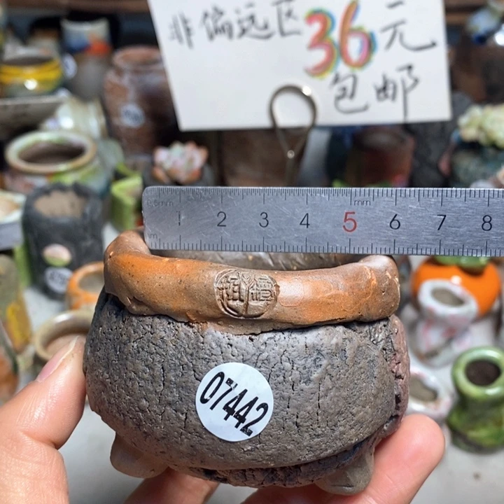 拍3送一个小礼物花盆