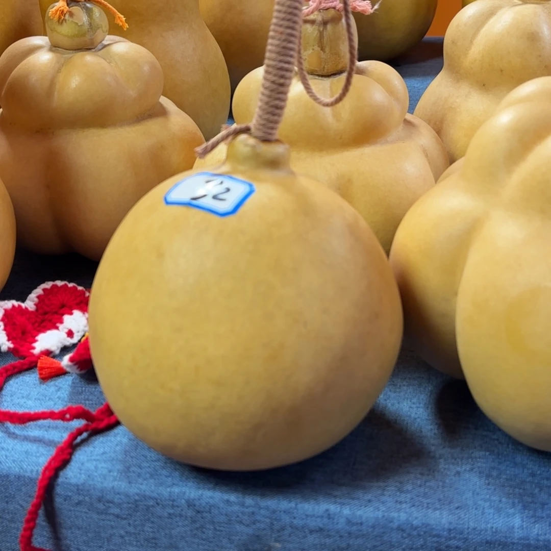 ‘***葫芦葫芦葫芦葫芦葫芦