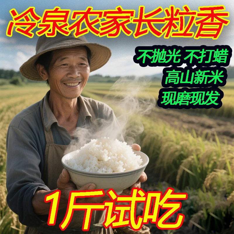 高山长粒香当季稻香米新米大米低脂香米灿稻生态灿米粘米长颗粒