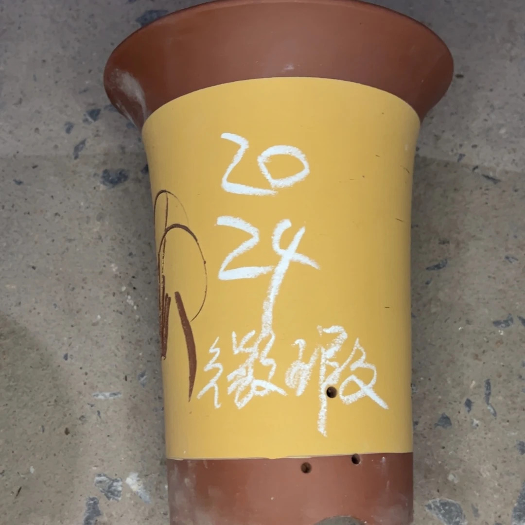 紫砂工艺厂……紫砂工艺厂……