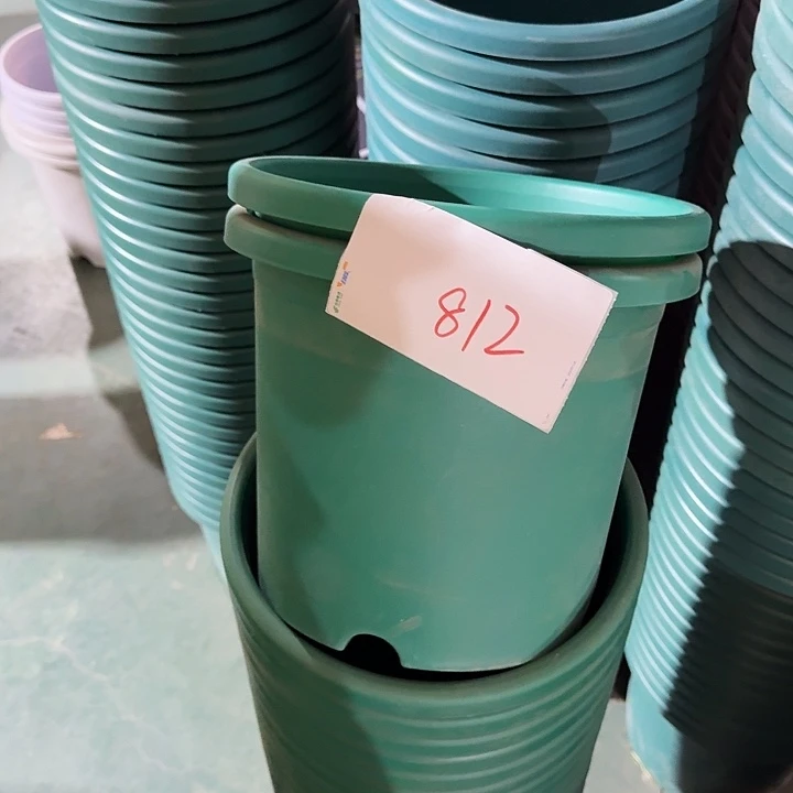 编号812瑕疵6个无托