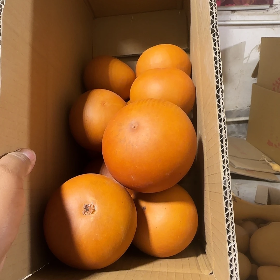 葫芦处理葫芦画皮葫芦