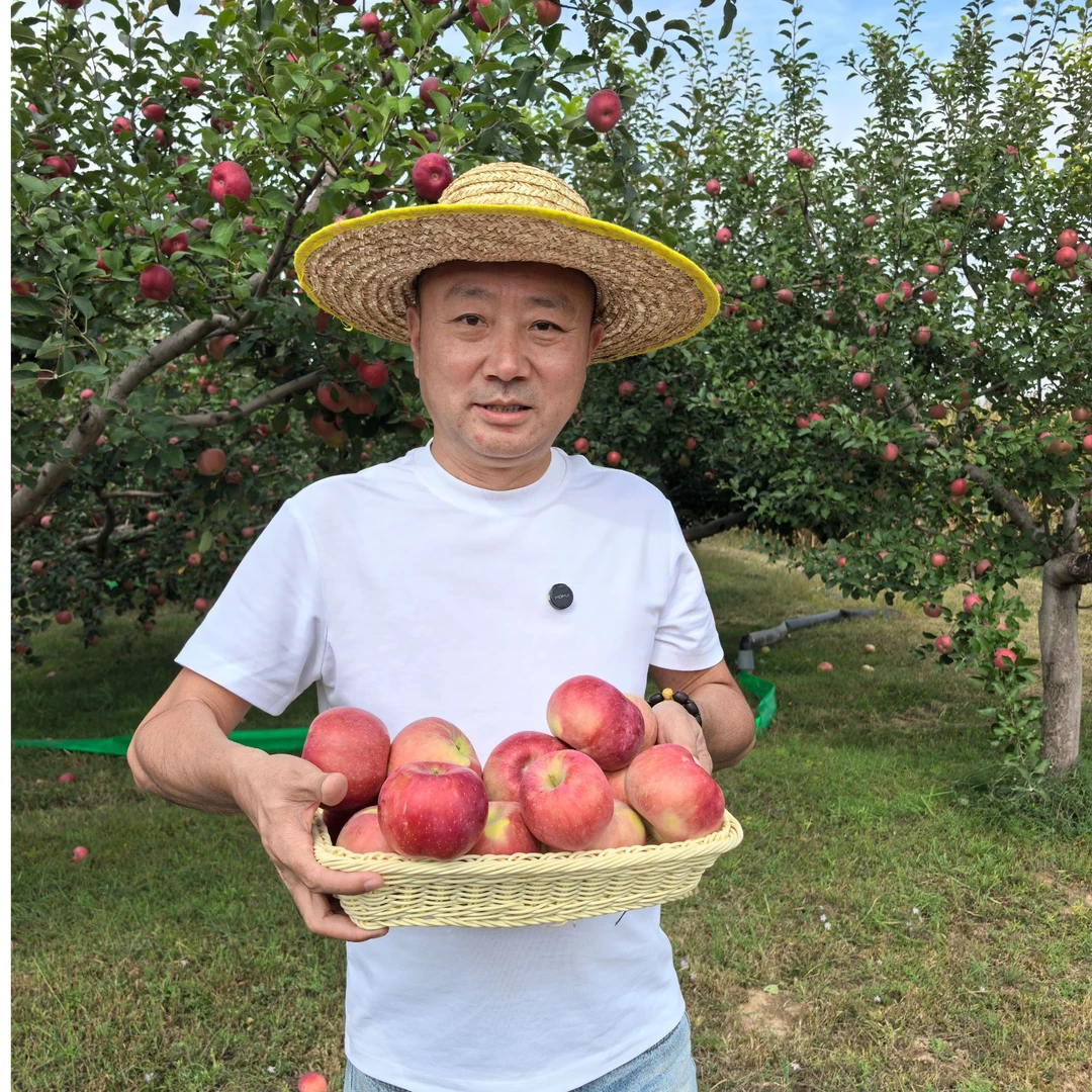 【直播2025老纪甄选陕北靖边苹果80mm】早富士现摘现发每箱24个包邮