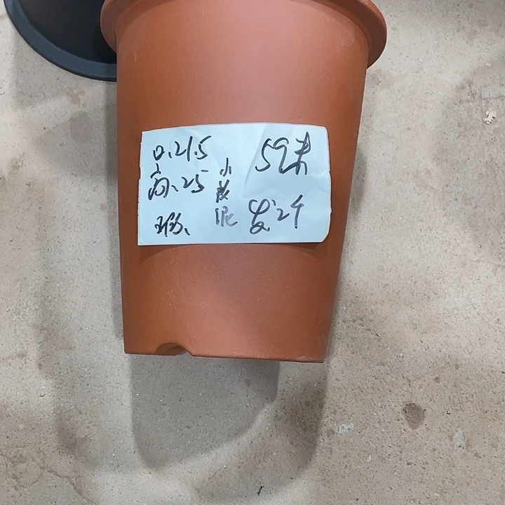 梅***州宜兴丁山张伟花盆