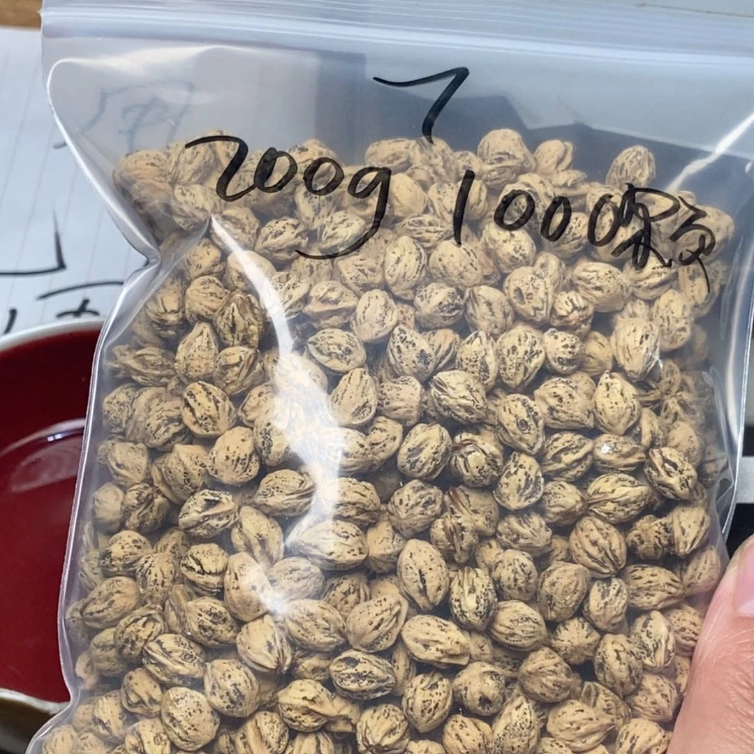 柏香籽/百香籽吊坠