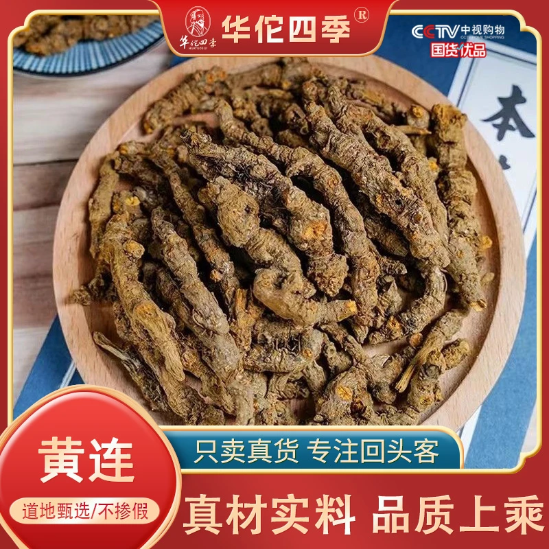 黄连四川甄选鸡爪连无熏无硫主根切片断面黄金味苦味浓售枸杞