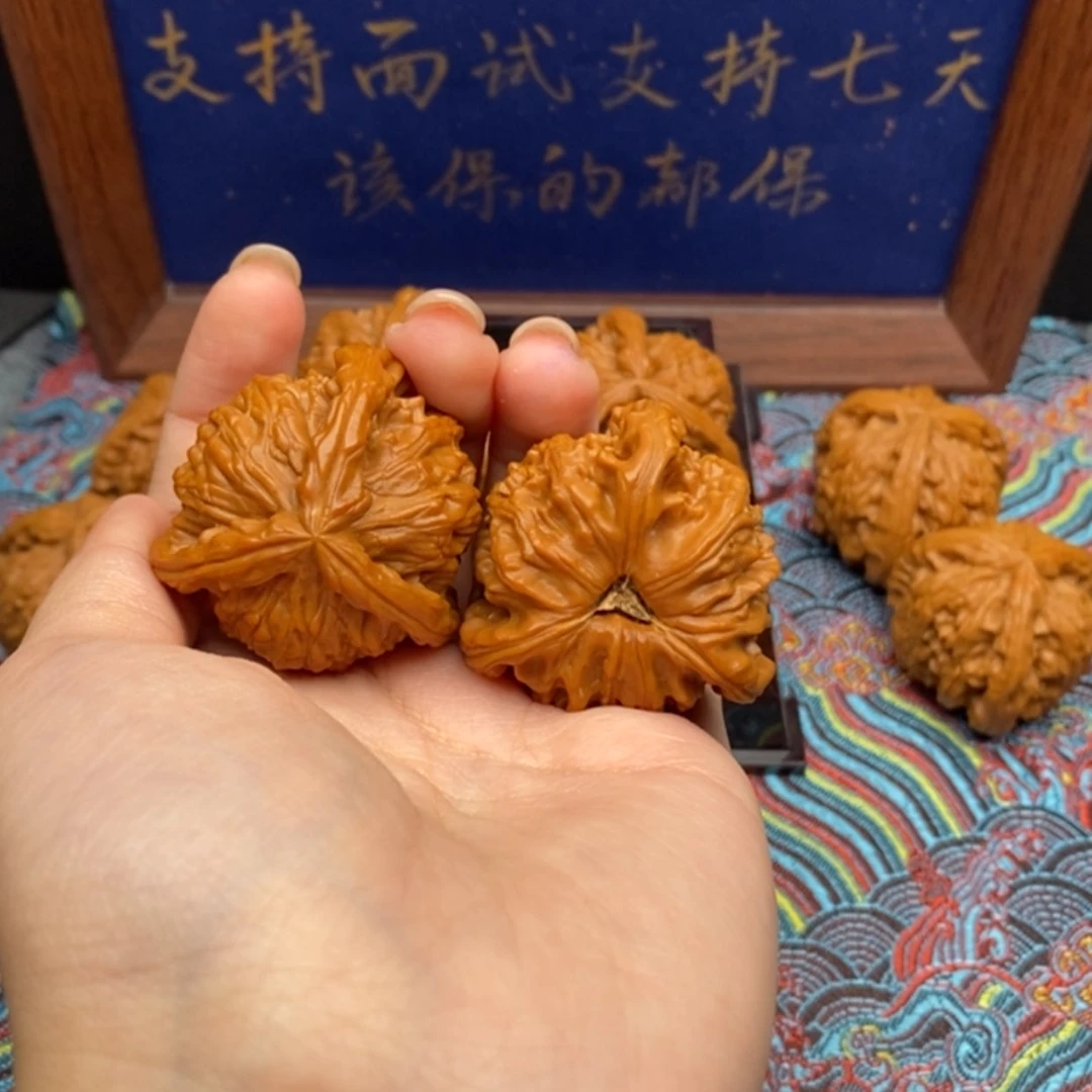 【闪购商品】嗯**耶白狮