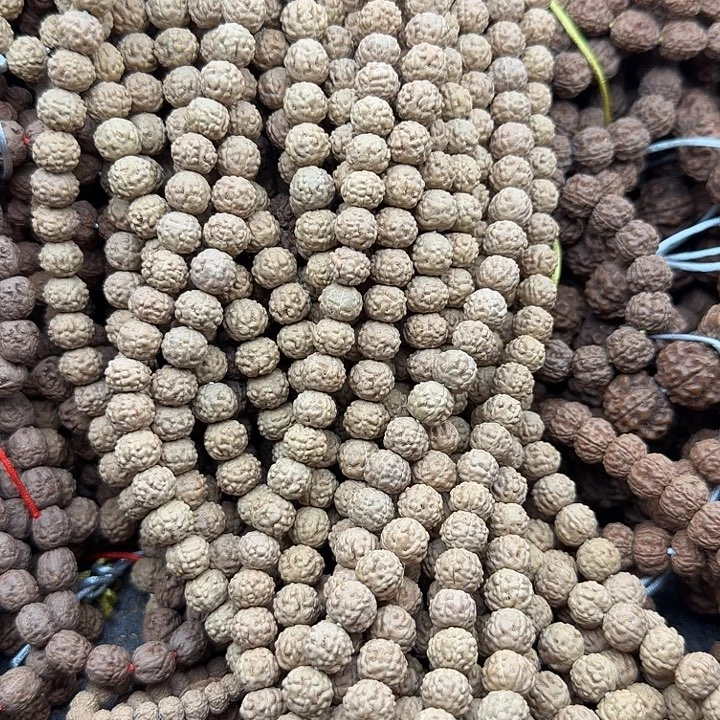 金刚菩提吊坠6瓣蛤蟆背9.5左右114颗保手持没有钢丝刷