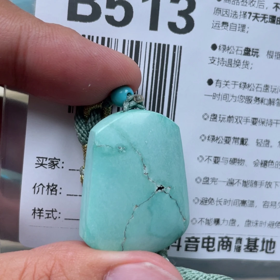 ****️绿松石未镶嵌颈饰