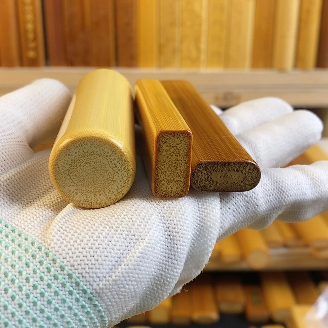 竹实心玉竹 一物一图