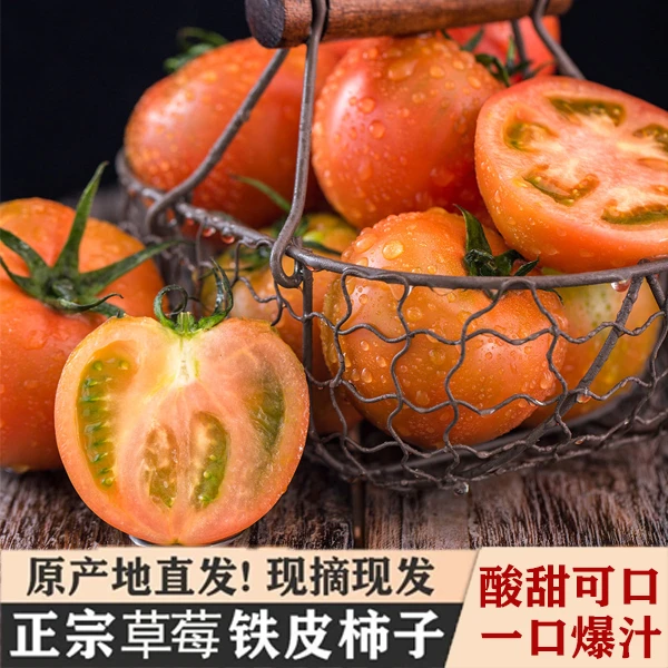 草莓柿子铁皮柿子新鲜小番茄生吃自然熟西红柿沙瓤蔬菜酸甜