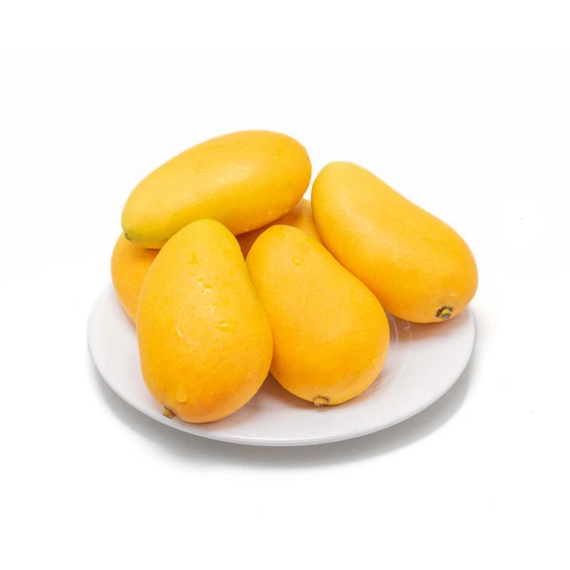 小台芒  小芒果  小台农芒果   约500g/份