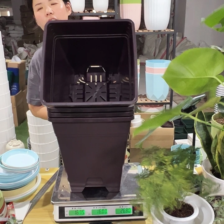 方盆口26高28紫砂无托4只