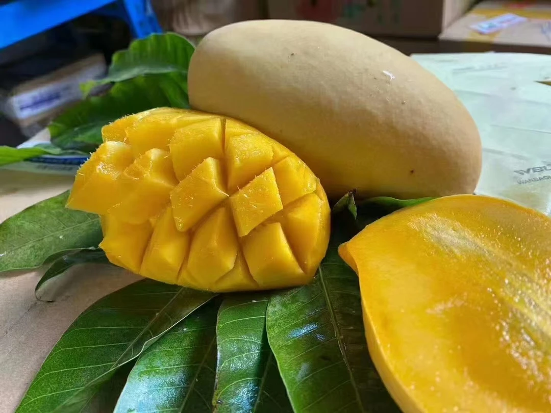 特级品质巨芒超甜独特香味专做出口个个完美微瑕包赔