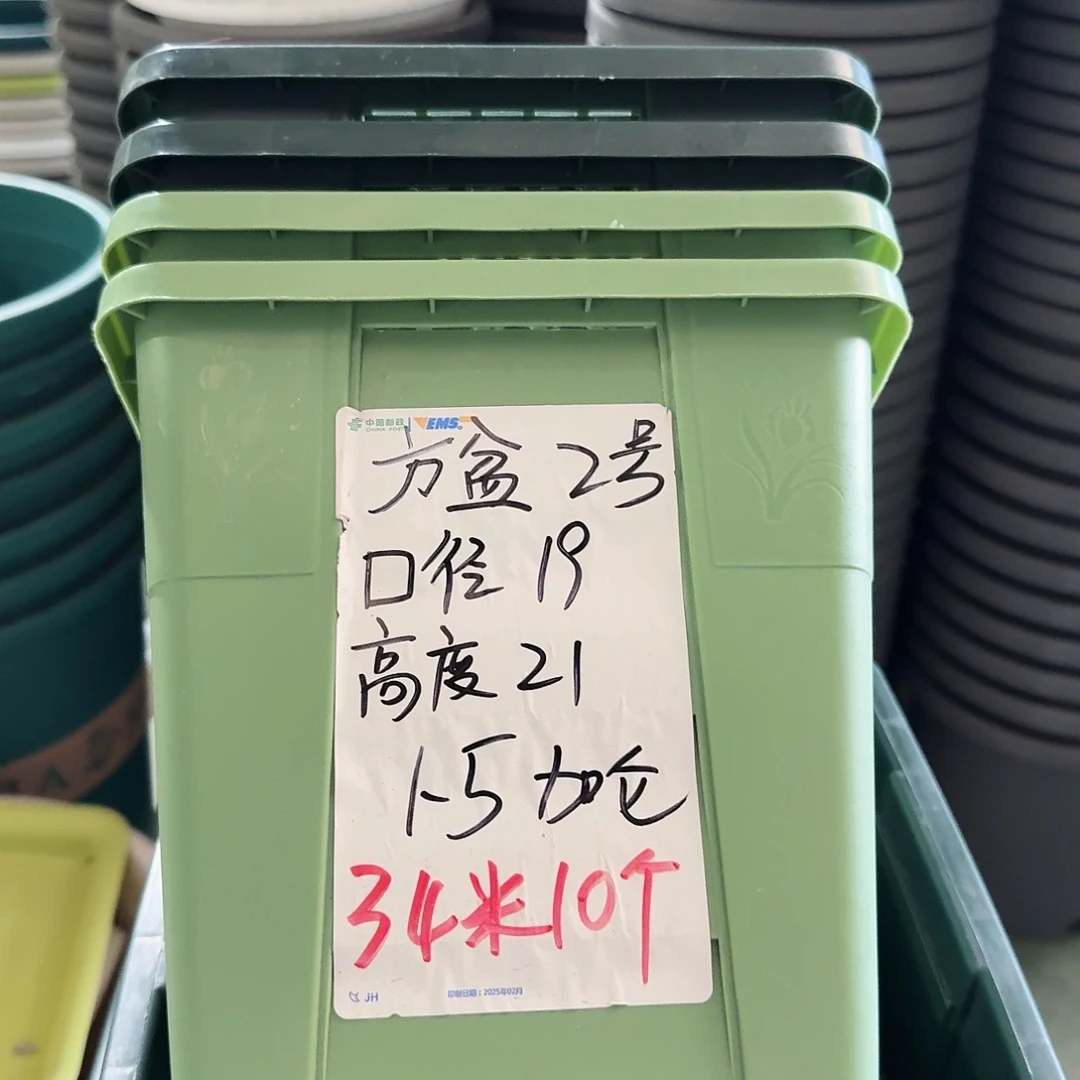 方盆2#口径19无拖浅绿10个