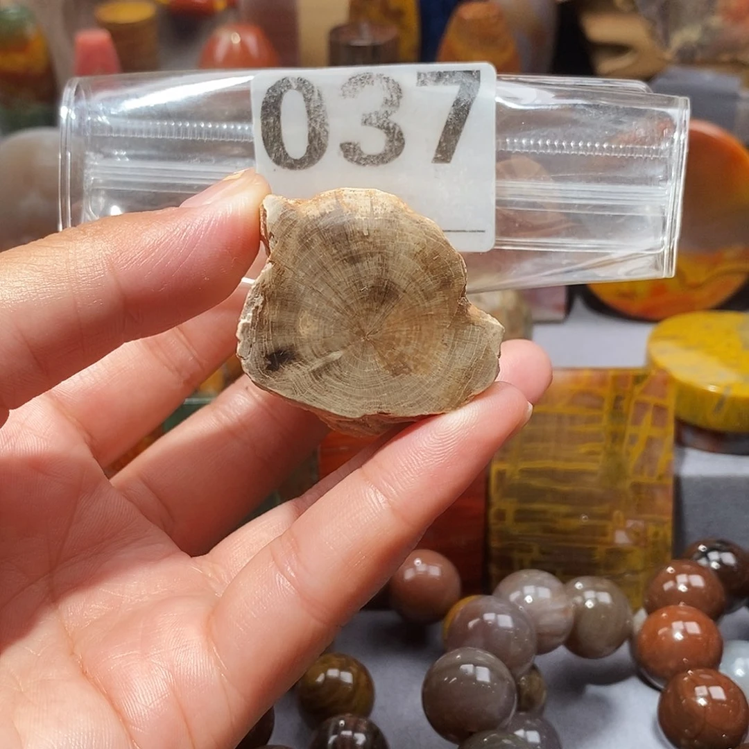硅化玉天然北票硅化玉原石未镶嵌