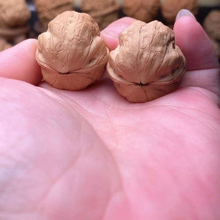 桃核把件蝉***仙………………