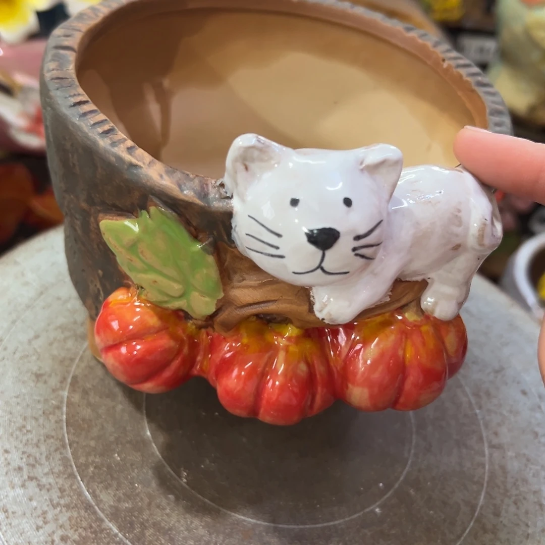 满20米秒退拉黑花盆