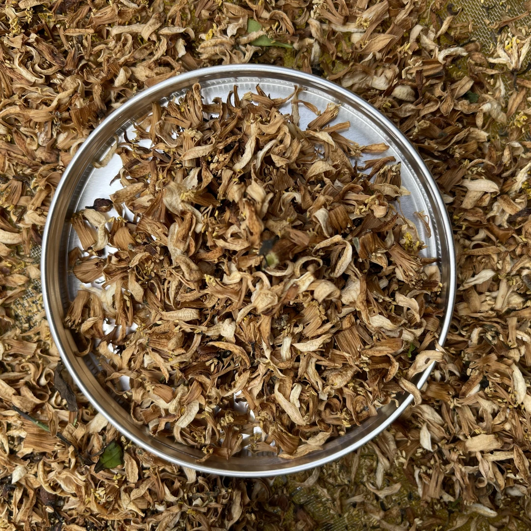 【2025一口春天】梅江塞口围蜜香 茉莉花香 全生晒 柑花 新会发货