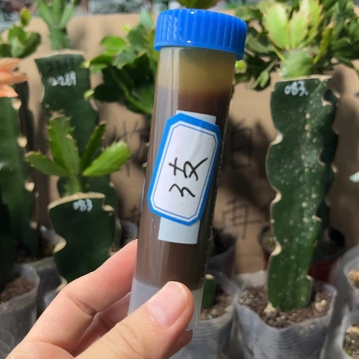 鱼蛋白50毫升3支新疆西藏邮费到付