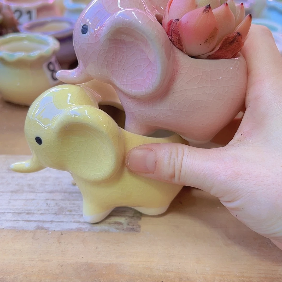 陶瓷花盆当场满12包邮