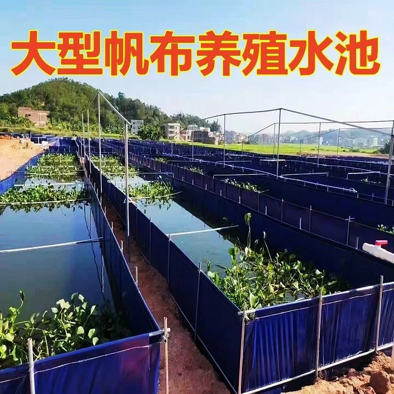 帆布鱼池带支架养殖水池户外游泳池蓄水池加厚防水布刮布养鱼水箱