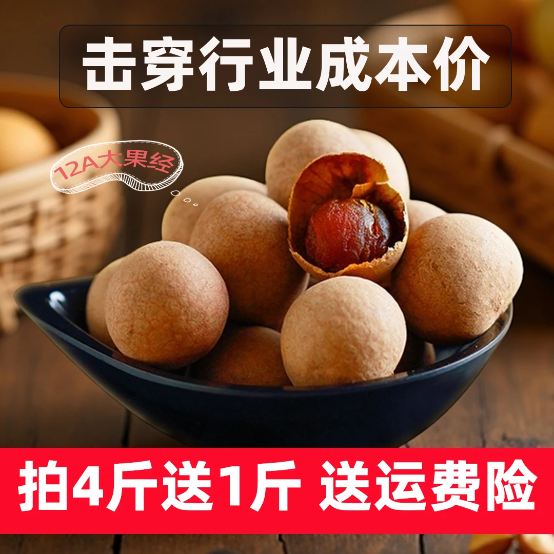 蓬源大果桂圆干500g 福建特产精选龙眼干新货壳薄肉厚泡茶零食