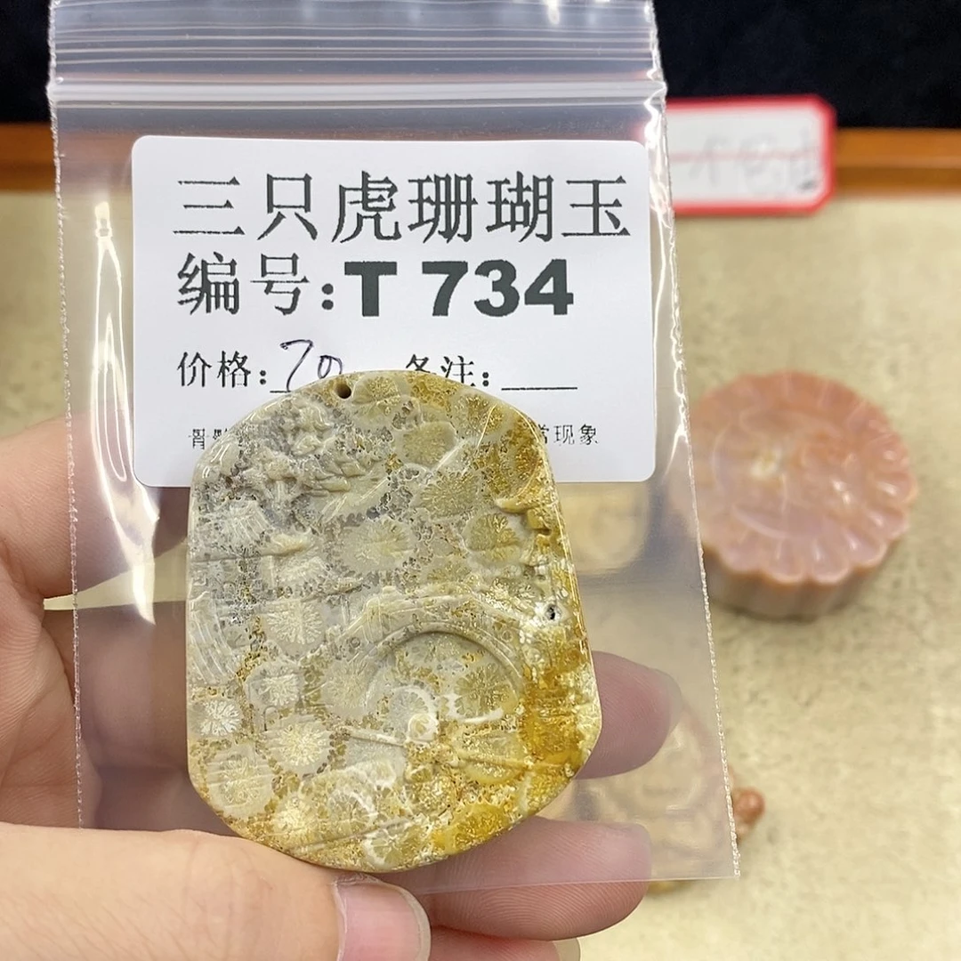 硅化珊瑚（珊瑚玉）1未镶嵌乐**李