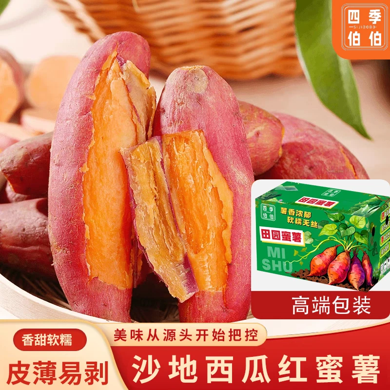 四季伯伯沙地西瓜红蜜薯