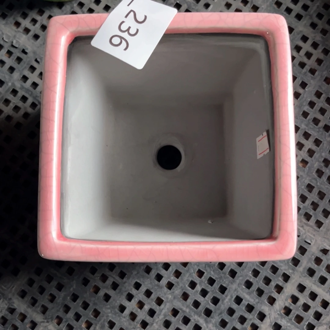 红陶236花盆  1个